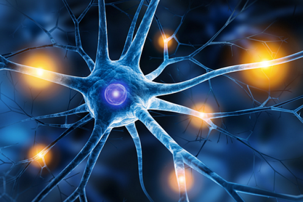 nerve-synapses-lighting-up